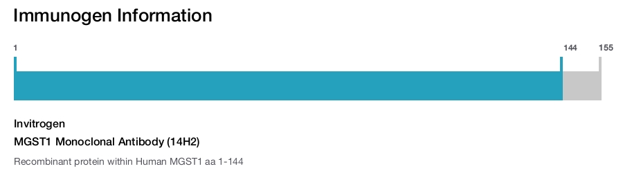 MGST1 Monoclonal Antibody (14H2)