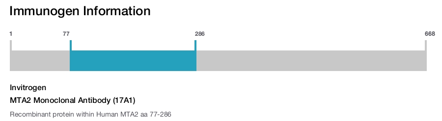 MTA2 Monoclonal Antibody (17A1)