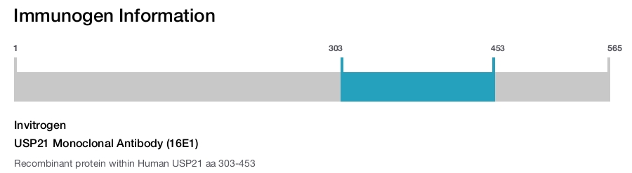 USP21 Monoclonal Antibody (16E1)