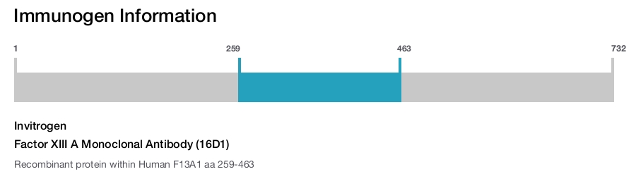 Factor XIII A Monoclonal Antibody (16D1)