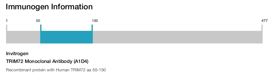 TRIM72 Monoclonal Antibody (A1D4)
