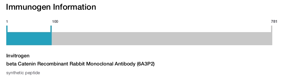 beta Catenin Recombinant Rabbit Monoclonal Antibody (6A3P2)