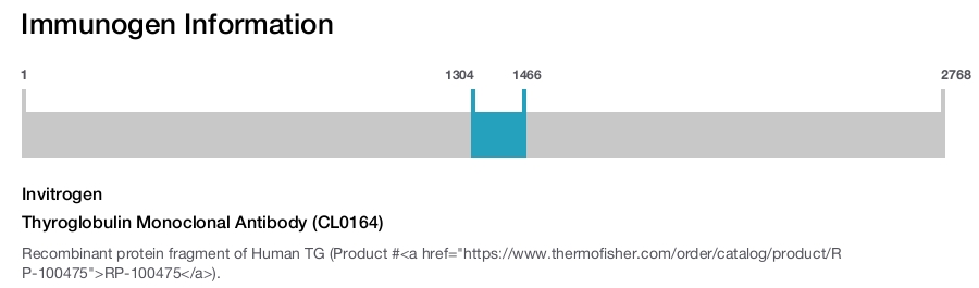 Thyroglobulin Monoclonal Antibody (CL0164)