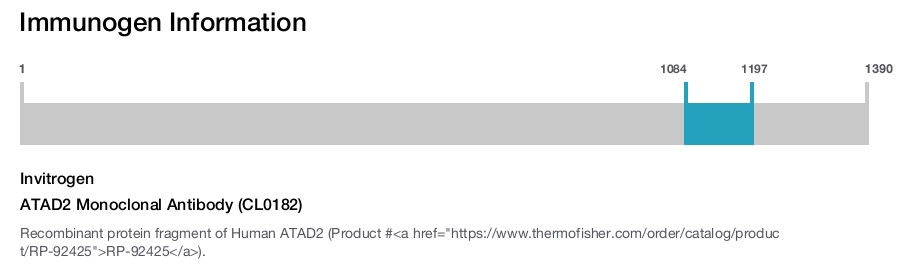 ATAD2 Monoclonal Antibody (CL0182)