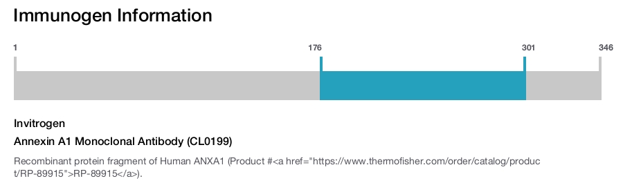 Annexin A1 Monoclonal Antibody (CL0199)