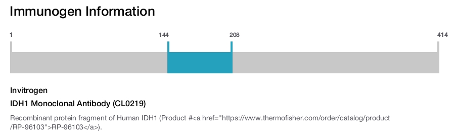 IDH1 Monoclonal Antibody (CL0219)