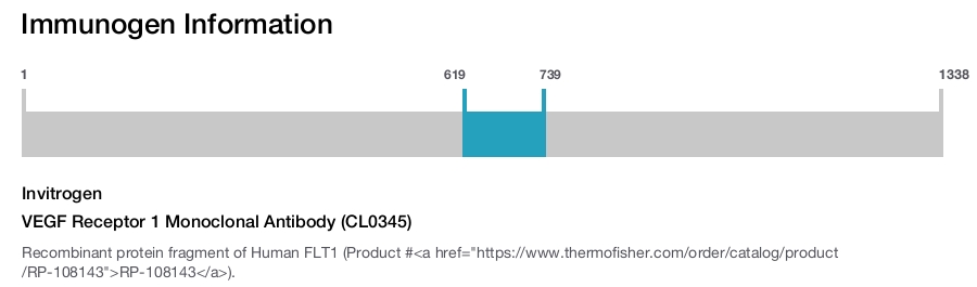 VEGF Receptor 1 Monoclonal Antibody (CL0345)