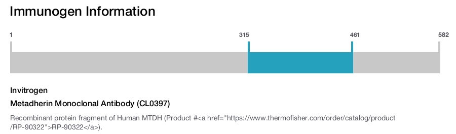 Metadherin Monoclonal Antibody (CL0397)