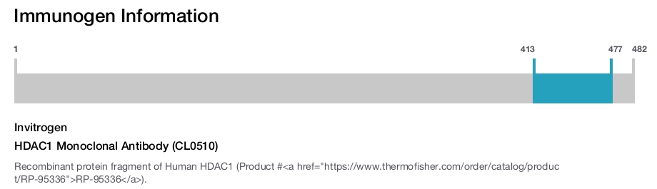HDAC1 Monoclonal Antibody (CL0510)