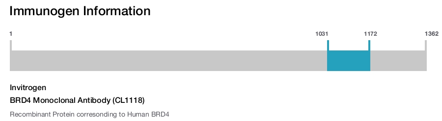 BRD4 Monoclonal Antibody (CL1118)