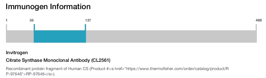 Citrate Synthase Monoclonal Antibody (CL2561)
