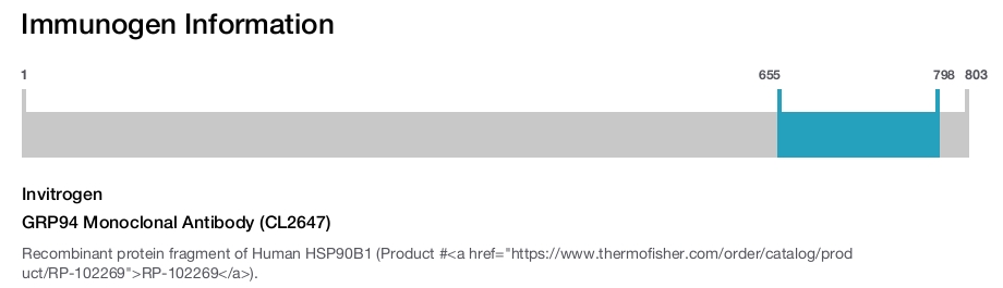 GRP94 Monoclonal Antibody (CL2647)