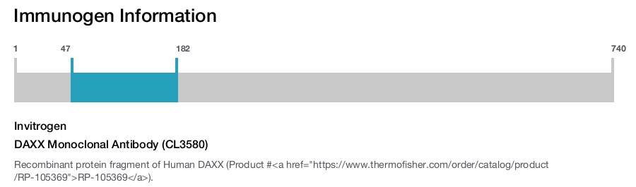 DAXX Monoclonal Antibody (CL3580)