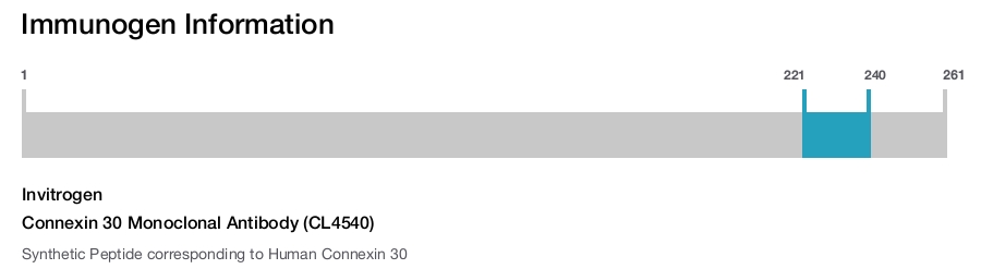 Connexin 30 Monoclonal Antibody (CL4540)
