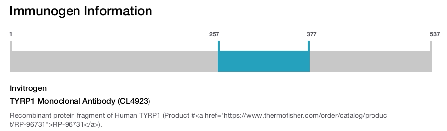 TYRP1 Monoclonal Antibody (CL4923)