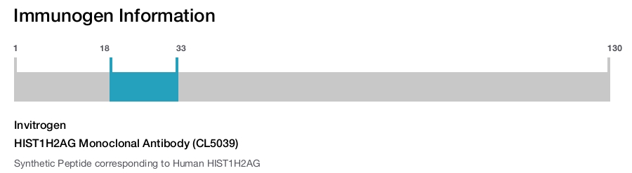 HIST1H2AG Monoclonal Antibody (CL5039)