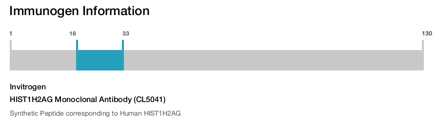 HIST1H2AG Monoclonal Antibody (CL5041)