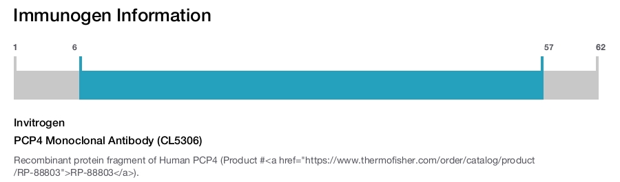 PCP4 Monoclonal Antibody (CL5306)