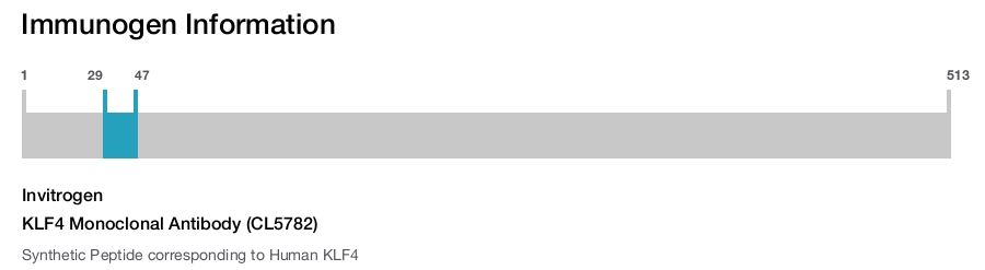 KLF4 Monoclonal Antibody (CL5782)