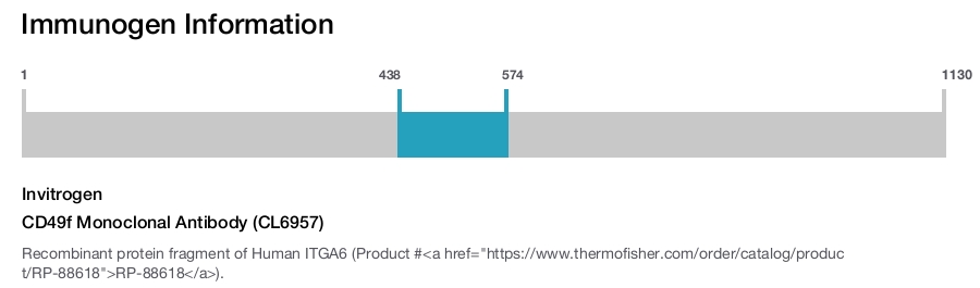 CD49f Monoclonal Antibody (CL6957)