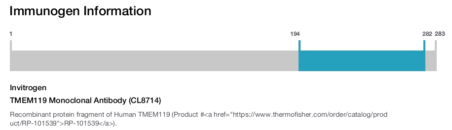 TMEM119 Monoclonal Antibody (CL8714)
