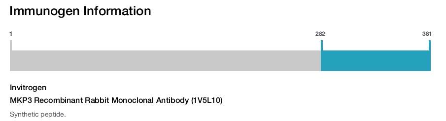 MKP3 Recombinant Rabbit Monoclonal Antibody (1V5L10)