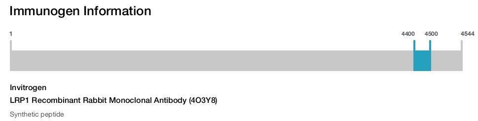LRP1 Recombinant Rabbit Monoclonal Antibody (4O3Y8)