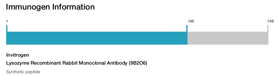 Lysozyme Recombinant Rabbit Monoclonal Antibody (9B2O6)
