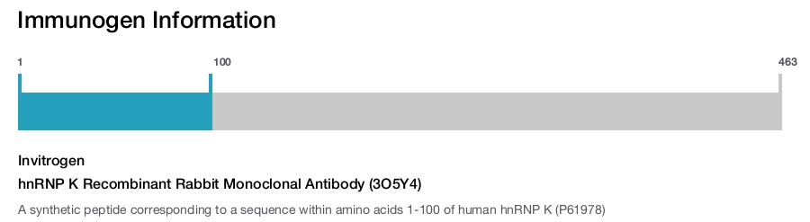 hnRNP K Recombinant Rabbit Monoclonal Antibody (3O5Y4)