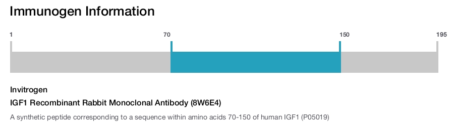 IGF1 Recombinant Rabbit Monoclonal Antibody (8W6E4)