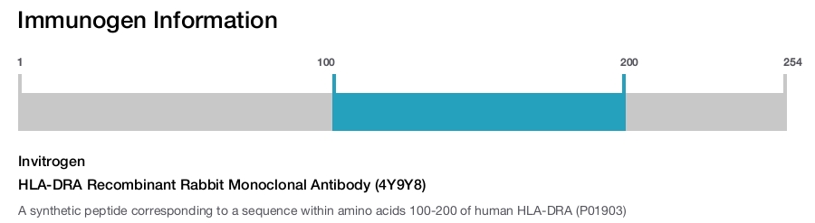 HLA-DRA Recombinant Rabbit Monoclonal Antibody (4Y9Y8)