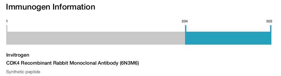 CDK4 Recombinant Rabbit Monoclonal Antibody (6N3M6)