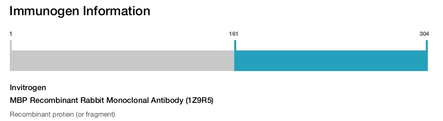 MBP Recombinant Rabbit Monoclonal Antibody (1Z9R5)
