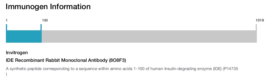 IDE Recombinant Rabbit Monoclonal Antibody (8O8F3)