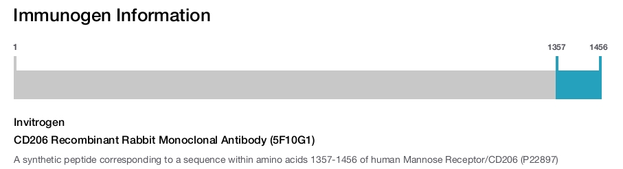 CD206 Recombinant Rabbit Monoclonal Antibody (5F10G1)