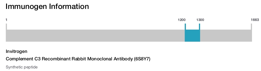 Complement C3 Recombinant Rabbit Monoclonal Antibody (6S8Y7)