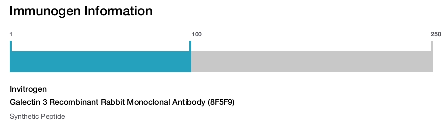 Galectin 3 Recombinant Rabbit Monoclonal Antibody (8F5F9)