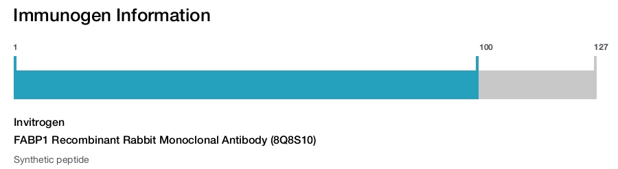 FABP1 Recombinant Rabbit Monoclonal Antibody (8Q8S10)
