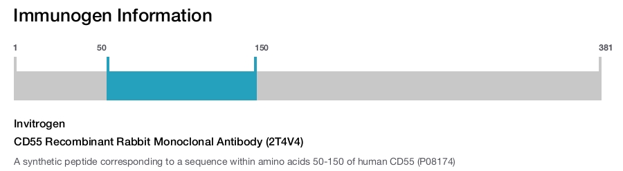 CD55 Recombinant Rabbit Monoclonal Antibody (2T4V4)