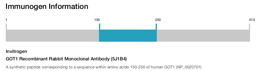 GOT1 Recombinant Rabbit Monoclonal Antibody (5J1B4)