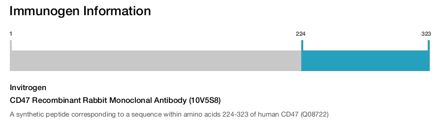 CD47 Recombinant Rabbit Monoclonal Antibody (10V5S8)