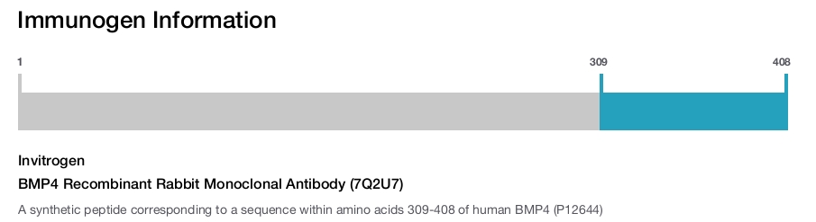 BMP4 Recombinant Rabbit Monoclonal Antibody (7Q2U7)