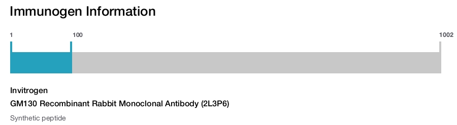GM130 Recombinant Rabbit Monoclonal Antibody (2L3P6)