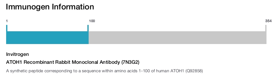 ATOH1 Recombinant Rabbit Monoclonal Antibody (7N3G2)