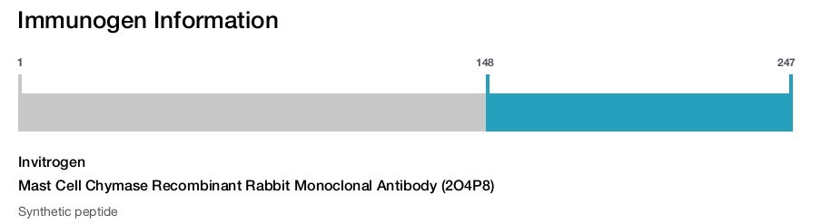 Mast Cell Chymase Recombinant Rabbit Monoclonal Antibody (2O4P8)