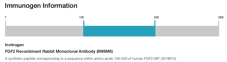FGF2 Recombinant Rabbit Monoclonal Antibody (8W6M5)