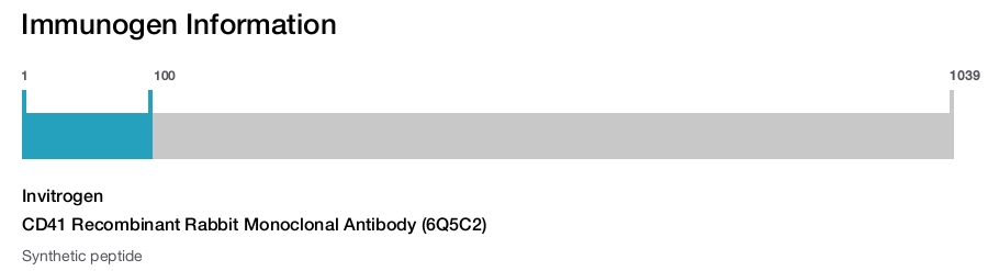 CD41 Recombinant Rabbit Monoclonal Antibody (6Q5C2)