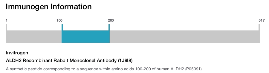 ALDH2 Recombinant Rabbit Monoclonal Antibody (1J9I8)