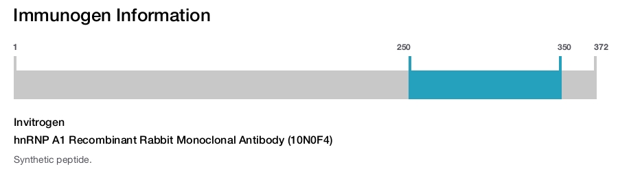 hnRNP A1 Recombinant Rabbit Monoclonal Antibody (10N0F4)