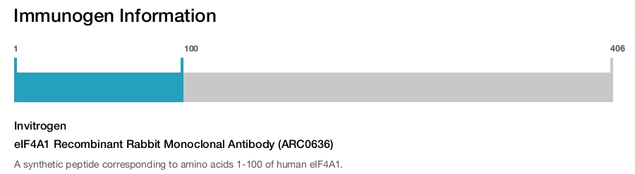 eIF4A1 Recombinant Rabbit Monoclonal Antibody (ARC0636)